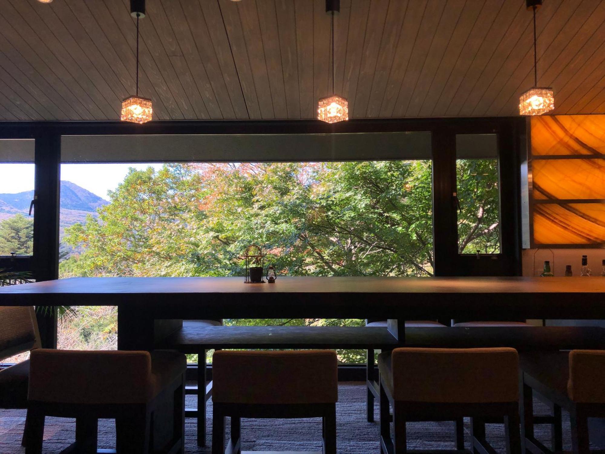 Hakone Elecasa Hotel And Spa Exterior foto
